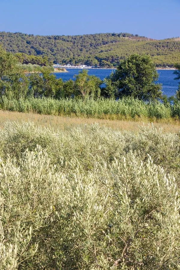 Holiday House Fontanele Pula 0*,